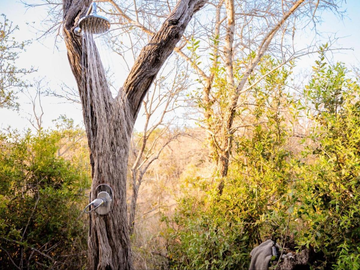 Shimungwe Lodge, Thornybush Game Reserve Hoedspruit Ngoại thất bức ảnh